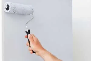 Paint the Walls