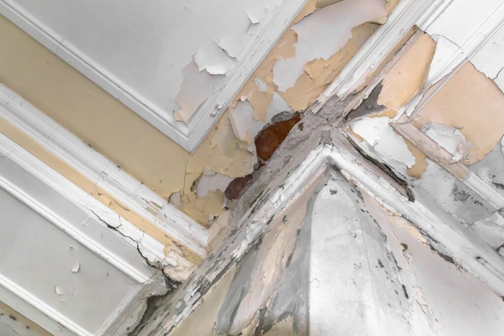 The Main Mistakes By Newbies in Plastering